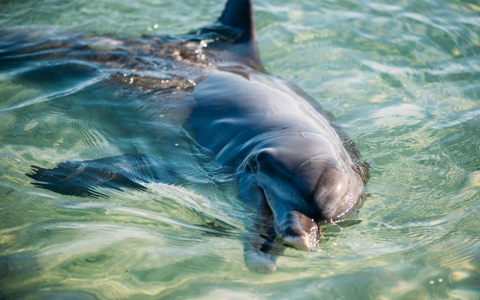 from perth 4 day outback coastal tour with german guide From Perth: 4 Day Outback & Coastal Tour With German Guide