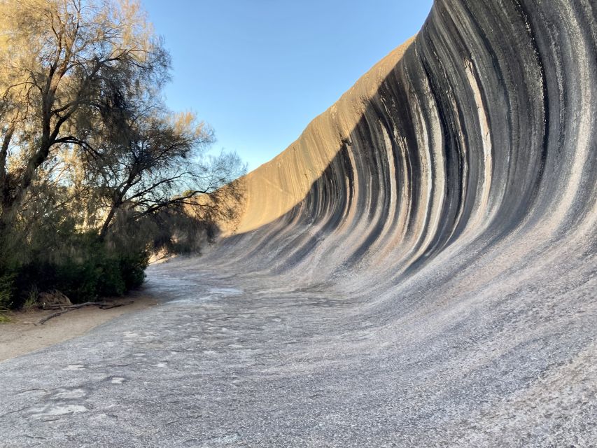 From Perth: Albany, Tree Top Walk & Wave Rock 3-Day Tour - Key Points