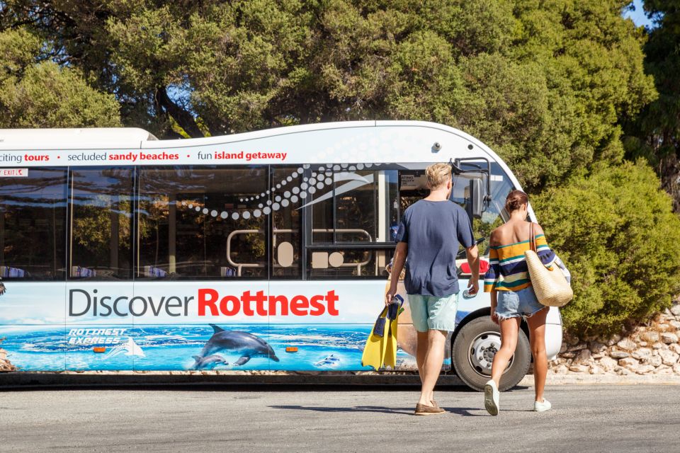 From Perth: Rottnest Island Ferry & Bus Tour - Key Points