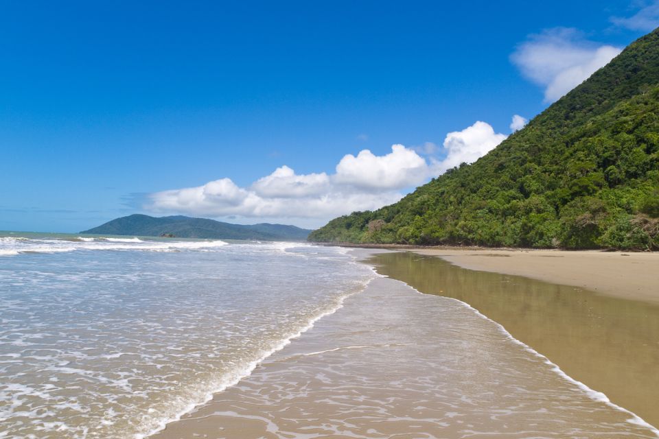 From Port Douglas: Daintree and Mossman Gorge Day Tour - Key Points