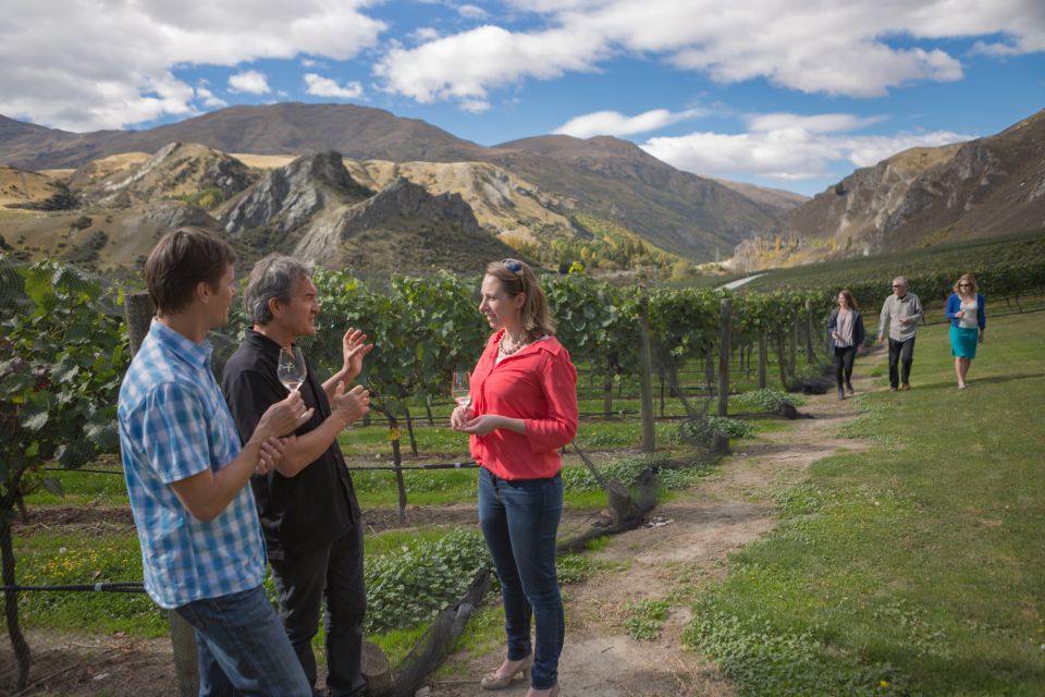 From Queenstown: 3 Winery Tour With Gourmet Wine & Lunch - Key Points