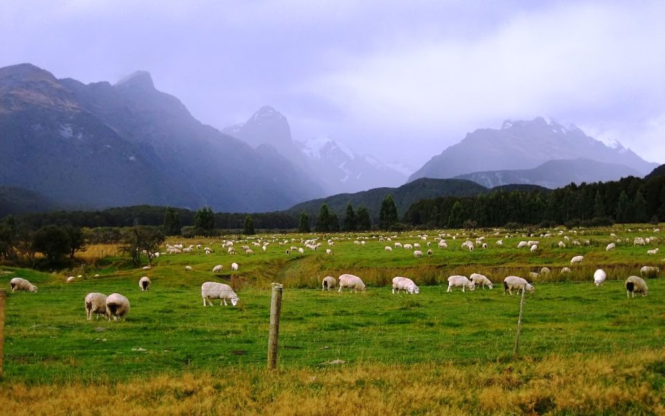 from queenstown lord of the rings tour to glenorchy From Queenstown: Lord Of The Rings Tour to Glenorchy