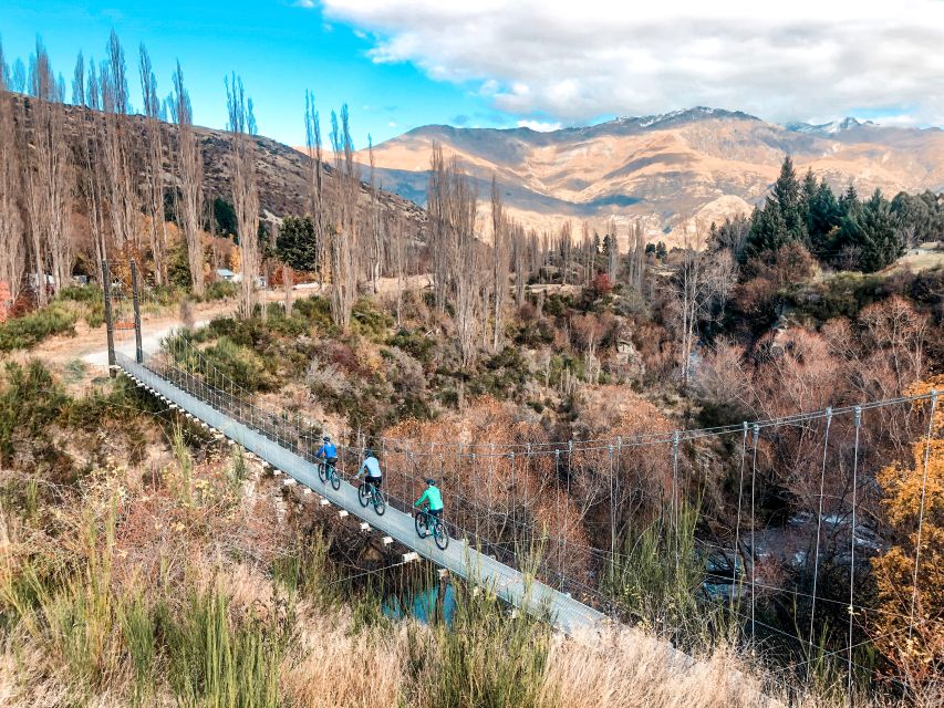 From Queenstown: Self-Guided Wineries Bike Tour - Key Points