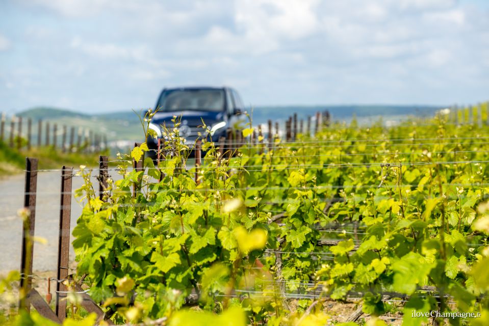 From Reims: Champagne and Family-Run Wineries Tour - Key Points