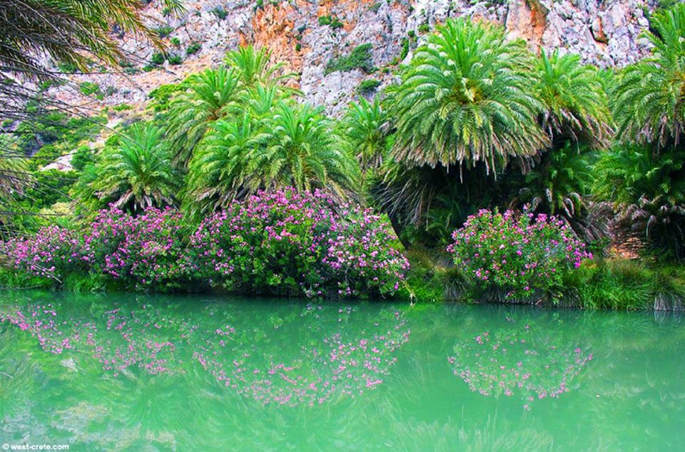 From Rethymno/Chania: Day Trip to Preveli Palm Beach - Tour Details