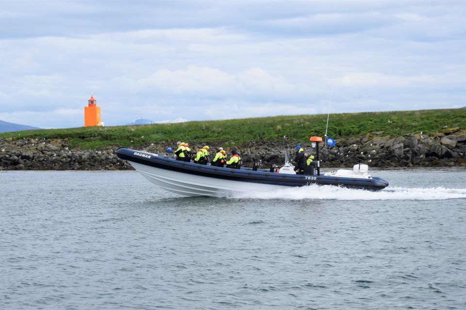 from reykjavik puffin watching tour by speedboat From Reykjavík: Puffin Watching Tour by Speedboat