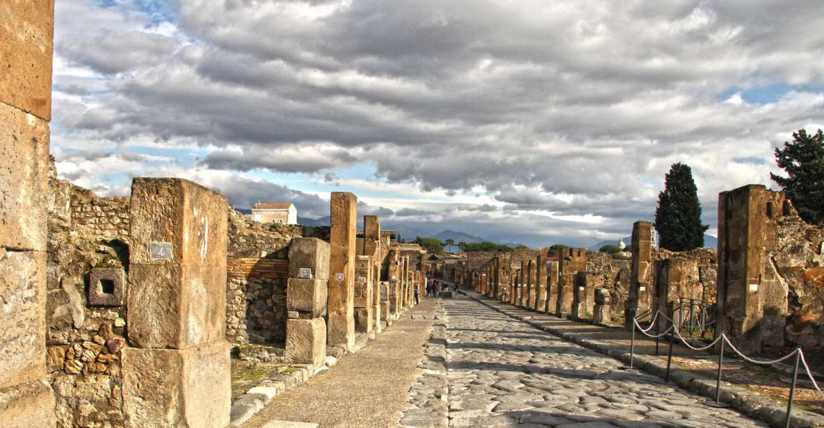 From Rome: Private Pompeii Day Trip by Car/Train - Key Points