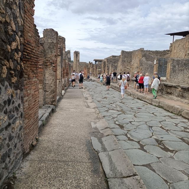 From Salerno : Pompeii Guided Tour & Sorrento Plus Positano - Key Points