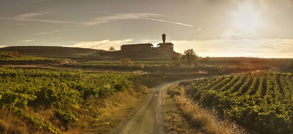 From San Sebastian/Bilbao/Vitoria: La Rioja Wineries Tour - Key Points
