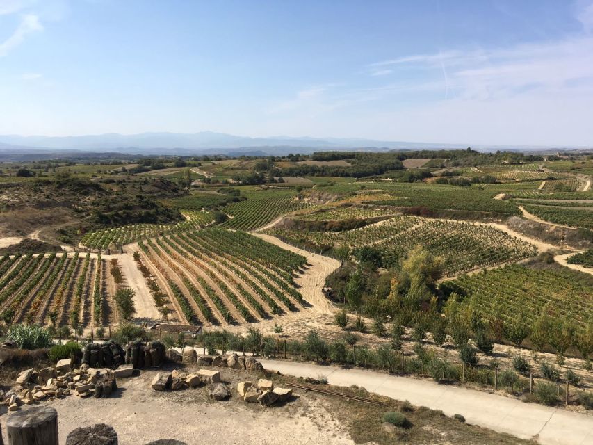 From San Sebastian/Bilbao/Vitoria: Rioja Wine Tour W/ Lunch - Key Points