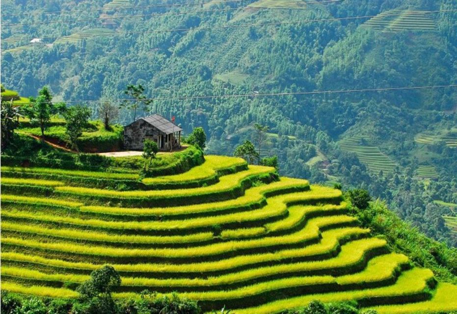 From Sapa : Full-Day Trekking With Lunch and Drop-Off - Key Points