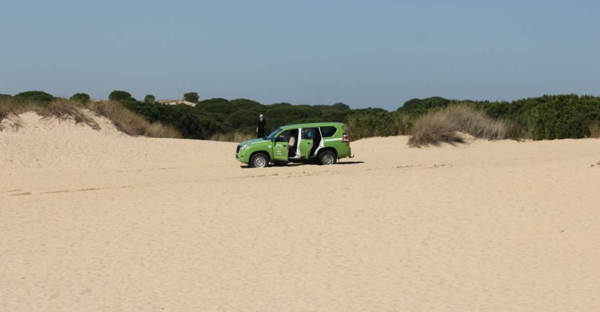 From Seville: Private Tour Doñana Park, El Rocio & Beach - Key Points