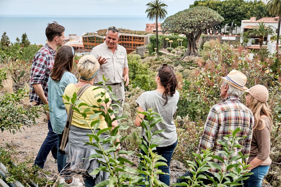 From South Tenerife: Full-Day VIP Island Tour - Key Points