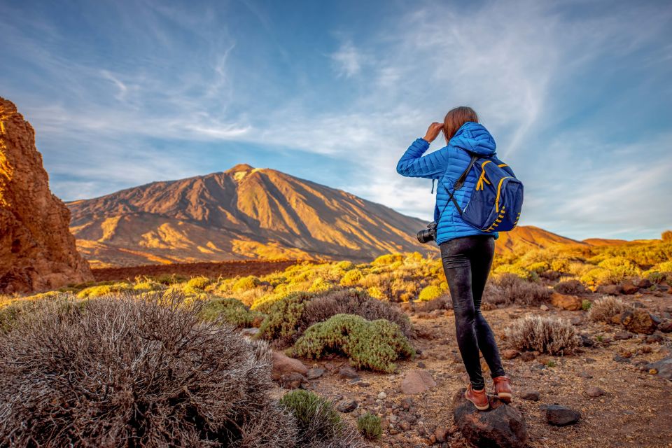 From South Tenerife: Mount Teide Hiking Day Trip & Cable Car - Key Points