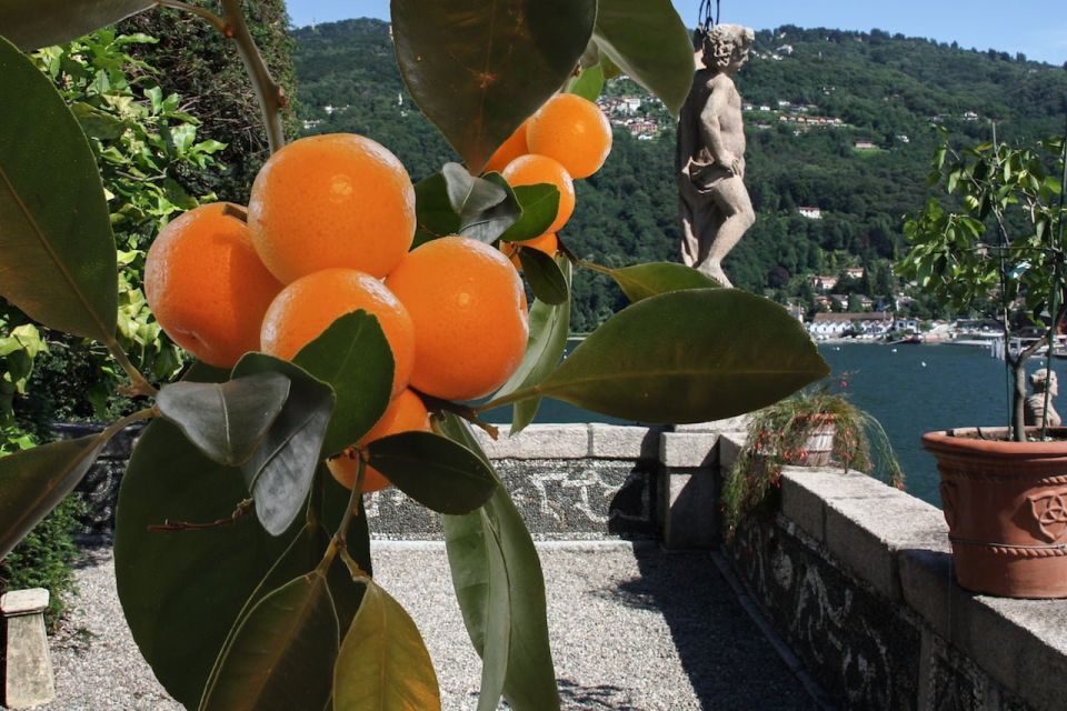from stresa lake maggiore and isola bella private boat tour From Stresa: Lake Maggiore and Isola Bella Private Boat Tour