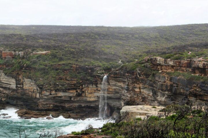 from sydney private day trip to the royal national park From Sydney: Private Day Trip to the Royal National Park