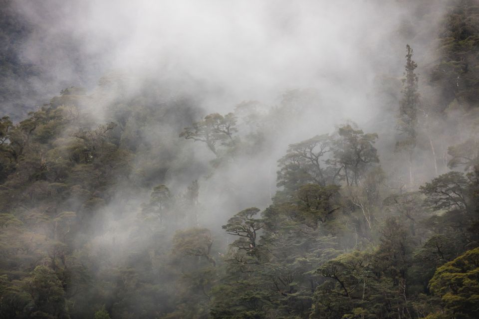 from te anau premium doubtful sound coach cruise From Te Anau: Premium Doubtful Sound Coach & Cruise