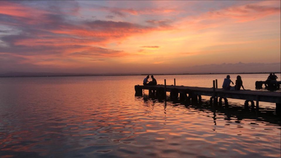 from valencia albufera natural park with sunset From Valencia: Albufera Natural Park With Sunset Experience