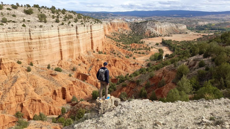 From Valencia: Hiking Tour of The Red Canyon of Teruel - Key Points