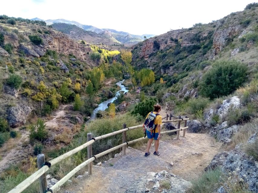 From Valencia: Peña Cortada Aqueduct Hiking Day Tour - Key Points