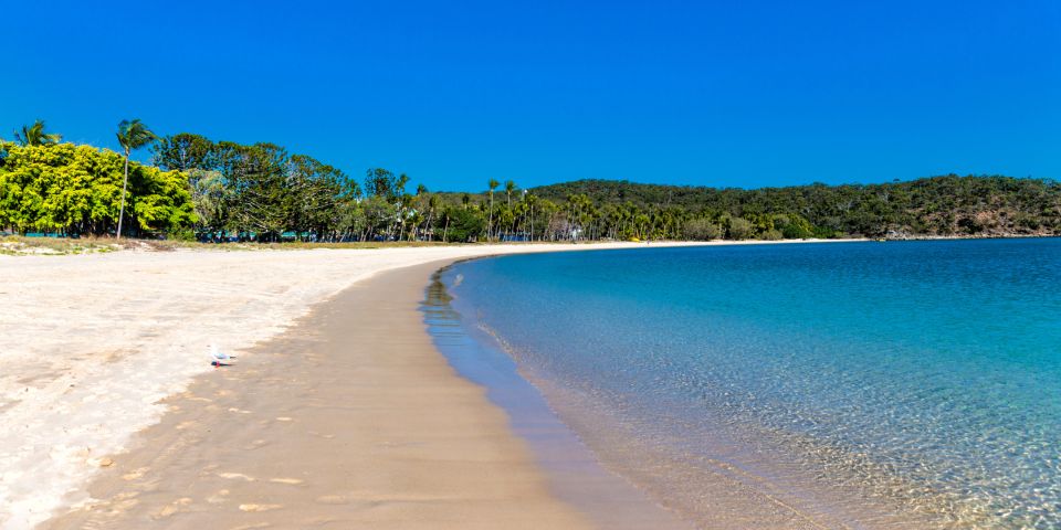 From Yeppoon: Great Keppel Island Snorkeling Trip With Lunch - Key Points