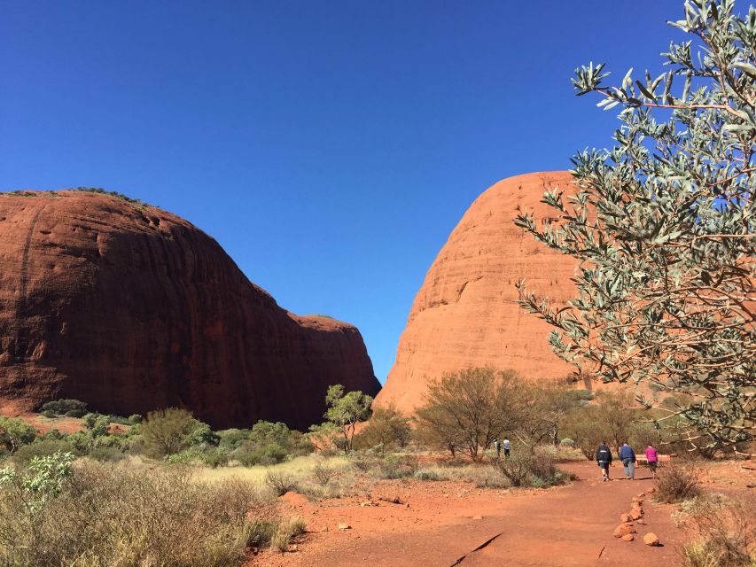 From Yulara: 3-Hour Small Group Kata Tjuta Afternoon Tour - Key Points