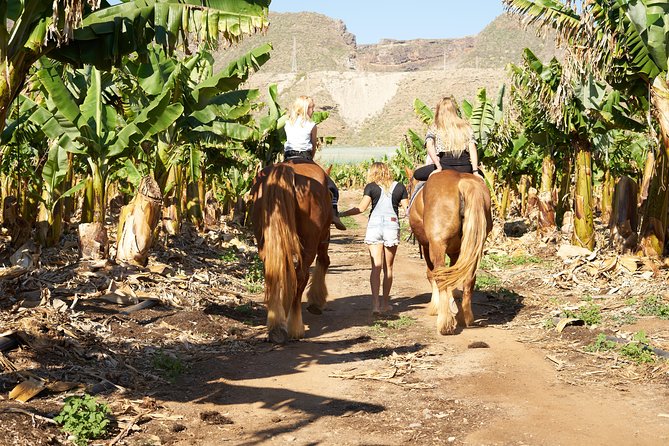 Fruit Farm Horse Riding - Key Points