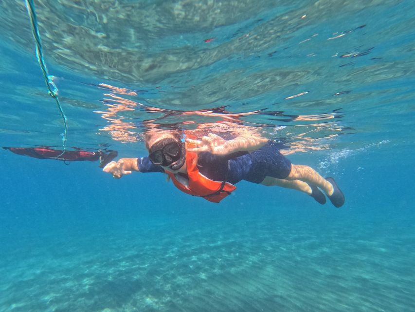 Fuerteventura: Guided Snorkeling in La Lajita With Pickup - Key Points