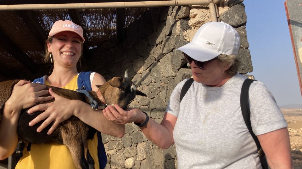 Fuerteventura: Guided Trekking Tour With Island Goats - Tour Overview