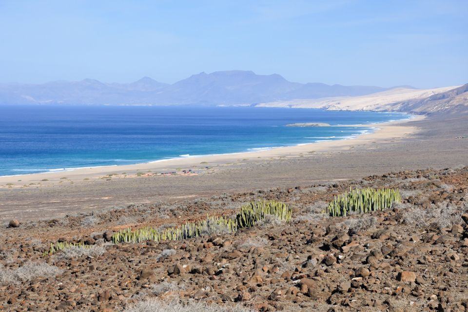 Fuerteventura: Off-Road Safari Tour - Key Points