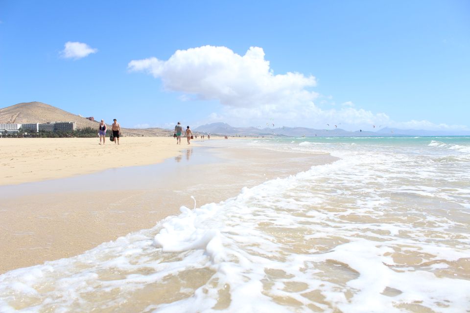 Fuerteventura South Full-Day Tour - Key Points