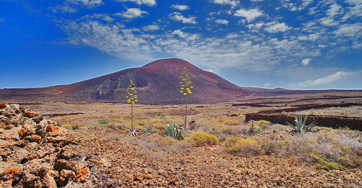 Fuerteventura: Trekking Tour Through the North of the Island - Key Points