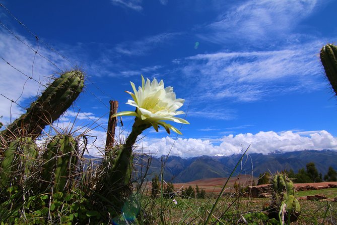 Full-Day Archaeological and Hiking Tour of the Sacred Valley From Cusco, Peru - Tour Overview