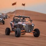full day desert safari with dune buggy ride in dubai Full-Day Desert Safari With Dune Buggy Ride in Dubai