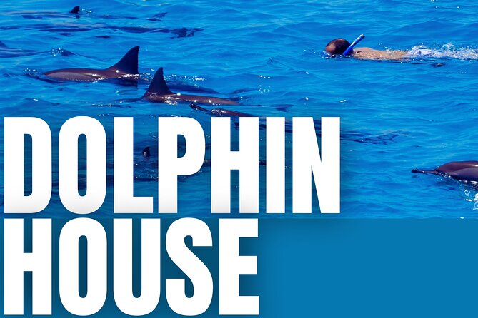 full day dolphin house guided boat trip from hurghada with lunch Full-Day Dolphin House Guided Boat Trip From Hurghada With Lunch