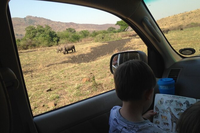 Full-Day Family Hluhluwe Imfolozi Park Safari Experience