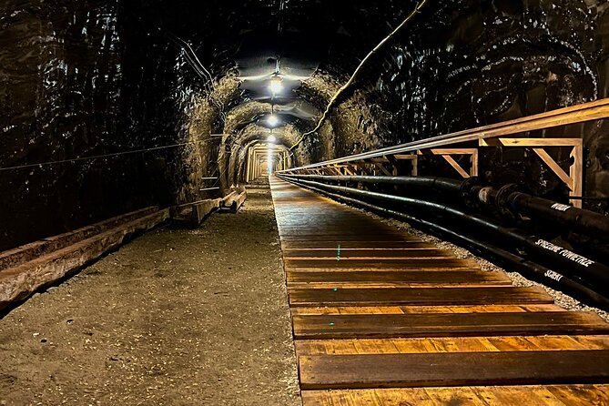 Full-Day Guided Tour in Auschwitz Birkenau and Salt Mine - Tour Overview