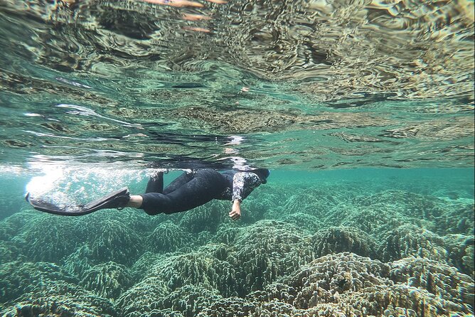 Full-Day Koh Lipe East Zone Snorkeling Experience With Lunch - Key Points
