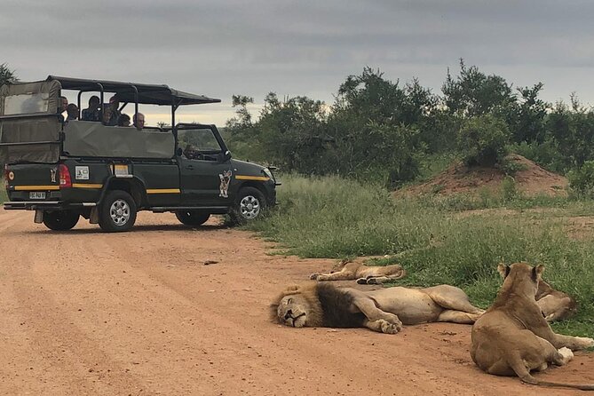 Full Day Kruger National Park Game Drive - Key Points