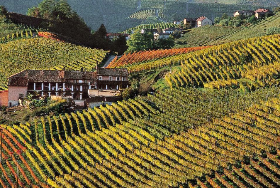 Full-Day Langhe Region Tour With Wine Tasting Experience - Key Points