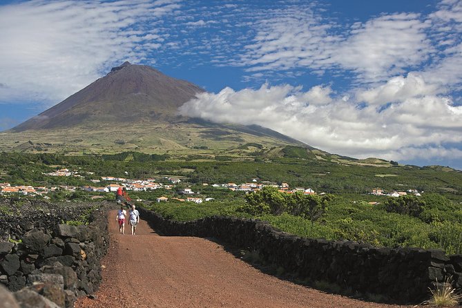 Full-Day Pico Island Tour From Horta - Key Points