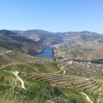 full day porto and douro valley private wine tour with lunch Full-Day Porto and Douro Valley Private Wine Tour With Lunch