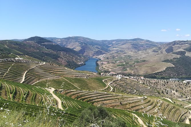 Full-Day Porto and Douro Valley Private Wine Tour With Lunch