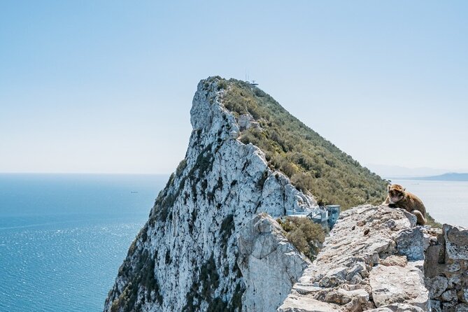 Full Day Private Tour to Gibraltar From Malaga - Key Points