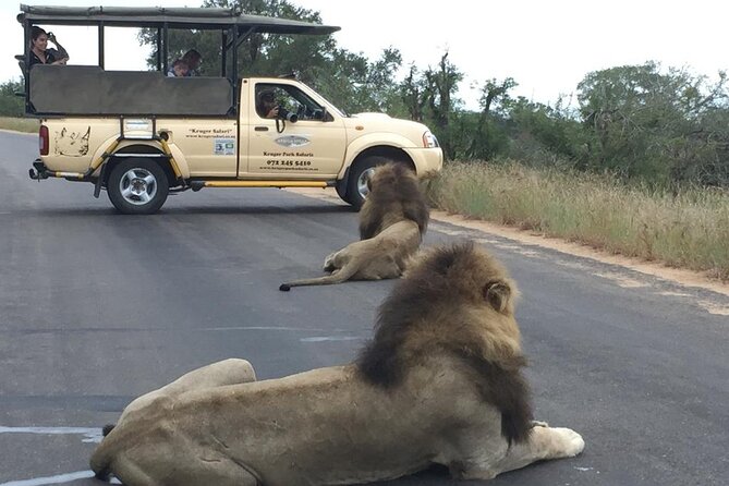 Full Day Safari Shared Tour at Kruger National Park - Key Points
