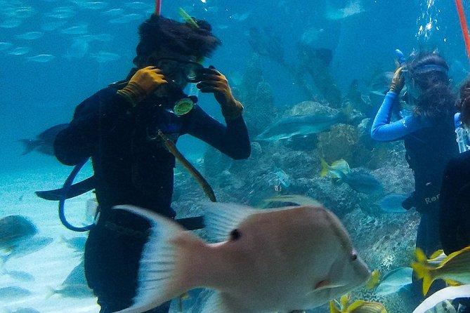 Full-Day Tour of Florida Keys Including Aquarium Encounters From Key West - Itinerary Details