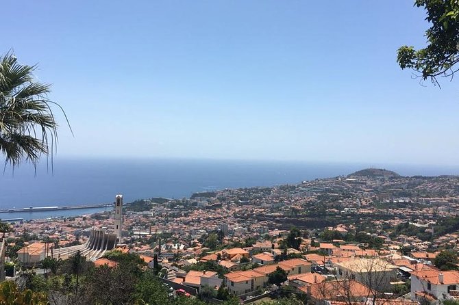 Funchal Private Transfers Service to Madeira Airport - Key Points