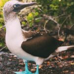 galapagos private full day beach and snorkel tour san cristobal Galapagos Private Full-Day Beach and Snorkel Tour - San Cristobal
