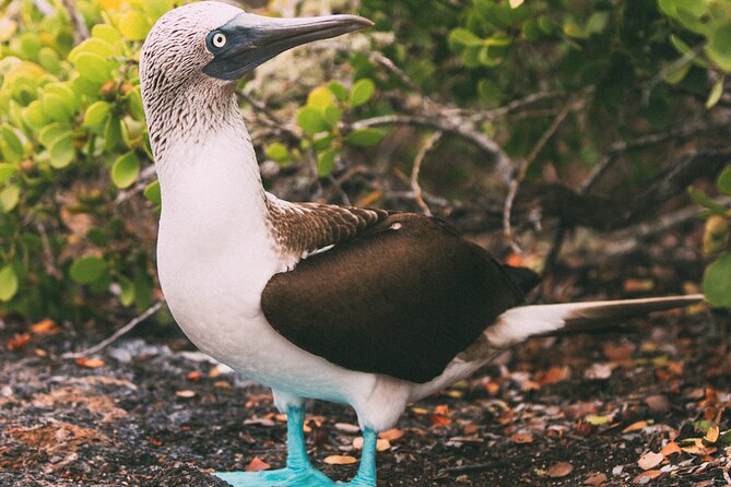 Galapagos Private Full-Day Beach and Snorkel Tour  - San Cristobal - Booking Policies