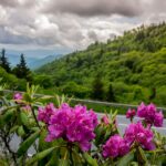 gatlinburg app based great smoky mountains park audio guide Gatlinburg: App-Based Great Smoky Mountains Park Audio Guide